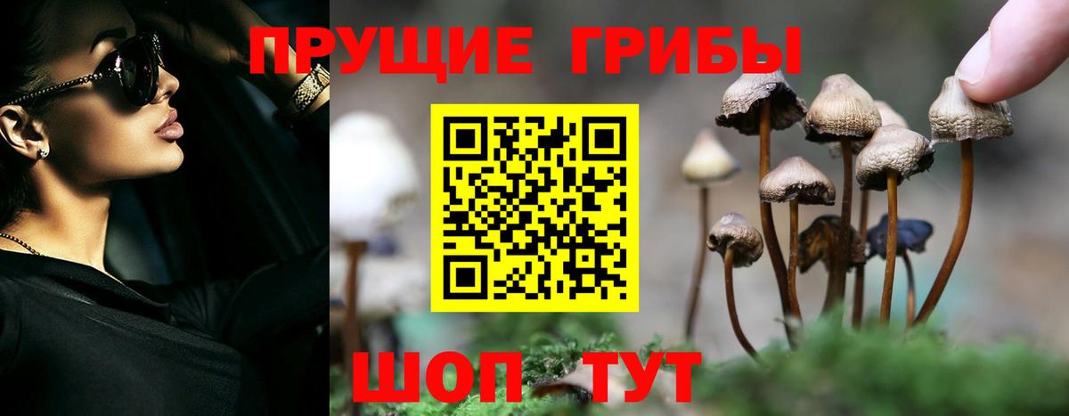 Псилоцибиновые грибы Magic Shrooms  Вход с VPN  наркота  Зима 